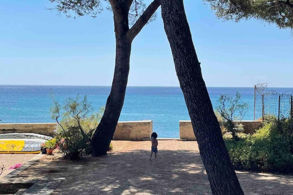 Cocon Les Pieds Dans L'Eau Acces Direct A La Mer La Ciotat Zewnętrze zdjęcie